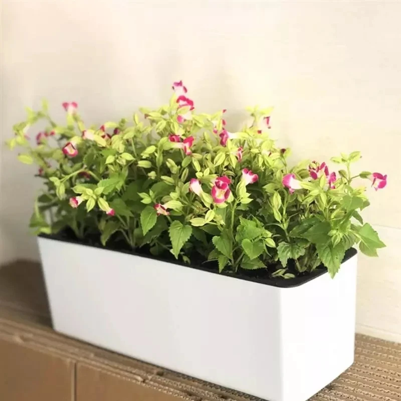 Hydroponic Grow Pod - Pot Bunga Malas Persegi Panjang Pot