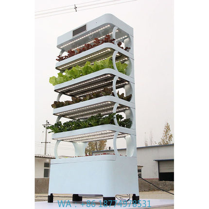 Smart Garden System - Sistem Hidroponik Rumah Tangga Terbaru, Kebun
