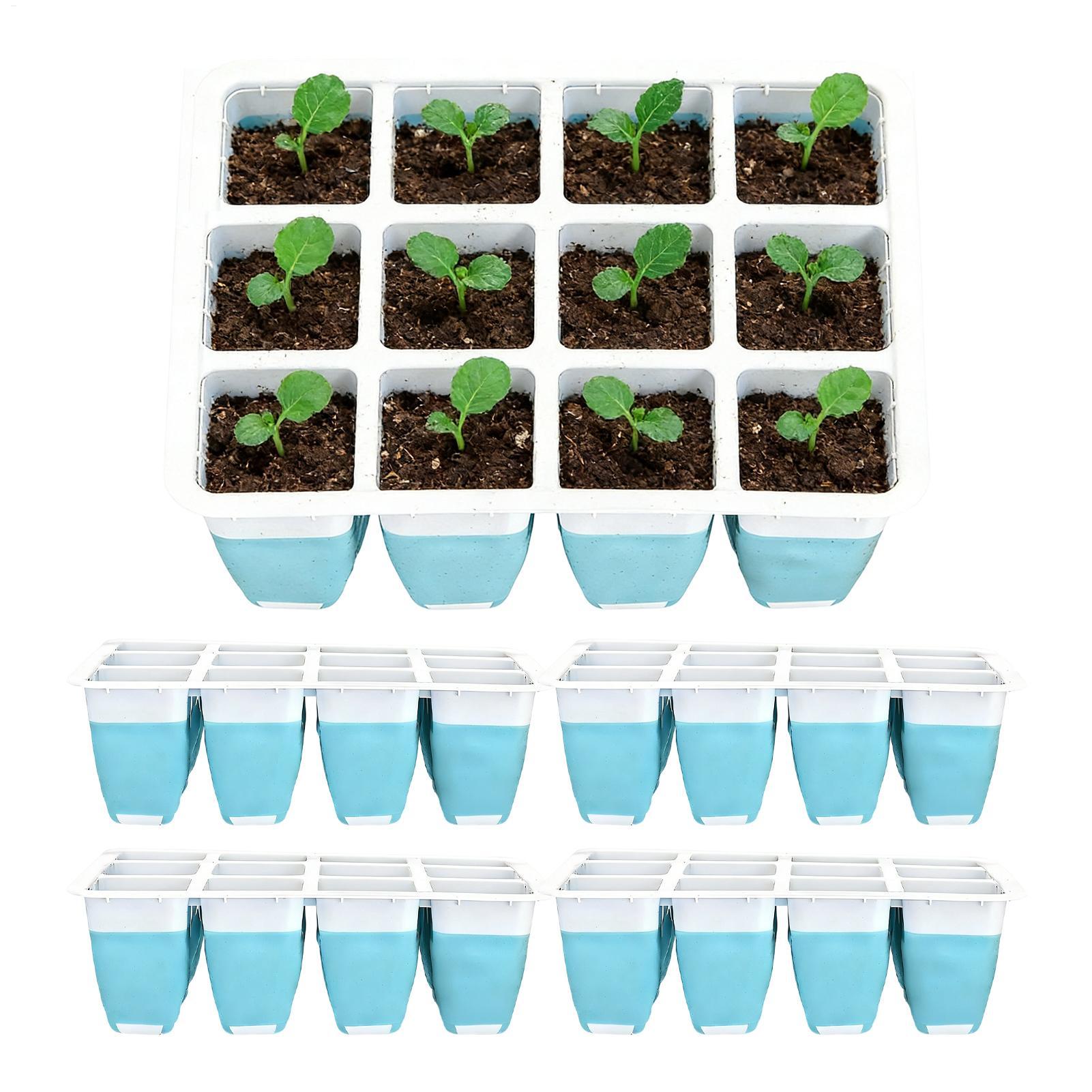 Indoor Garden Kit - 5 Paket Baki Semai Silikon 60