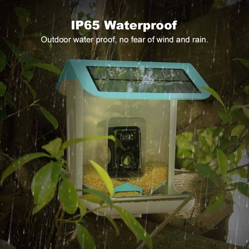 Kamera Wifi Satwa Liar Luar Ru - Garden Camera ulasan dan harga