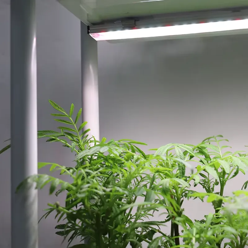 Rak Tanaman Vertikal 3 Tingkat - Smart Garden System ulasan dan harga