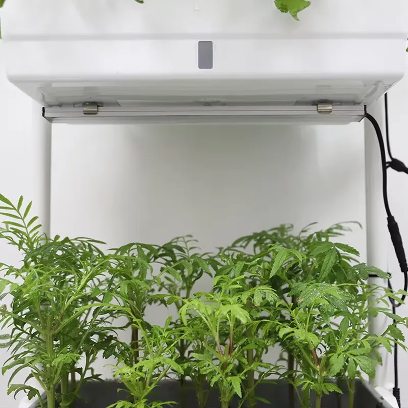 Rak Tanaman Vertikal 3 Tingkat - Smart Garden System ulasan dan harga