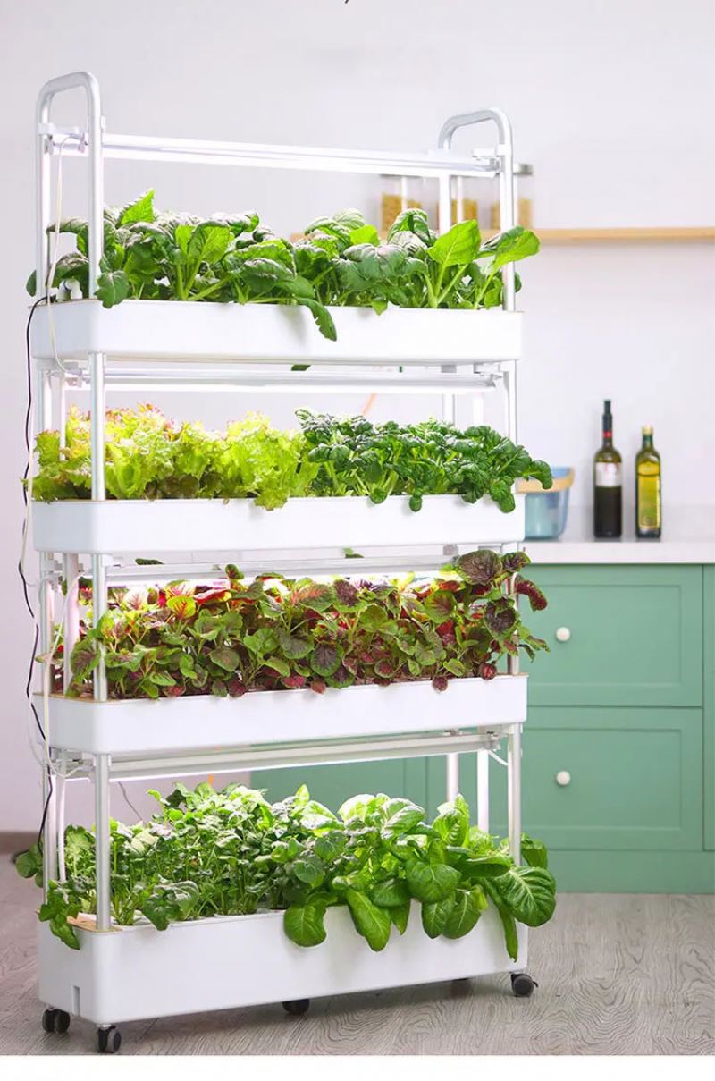 Sistem Pertumbuhan Tanaman Hid - Hydroponic Tower ulasan dan harga