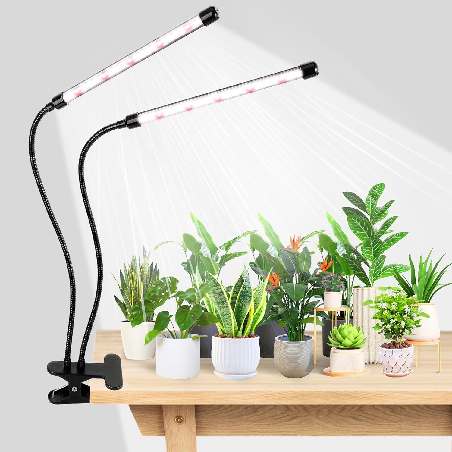 KEBINCPLED Lampu LED Pencahaya - Hydroponic Grow Pod ulasan dan harga
