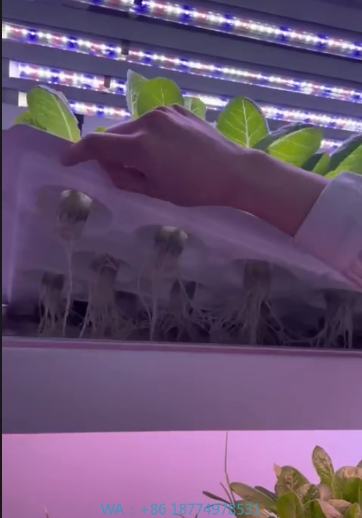 Peralatan Pertanian Rumah Kaca - Hydroponic Tower ulasan dan harga