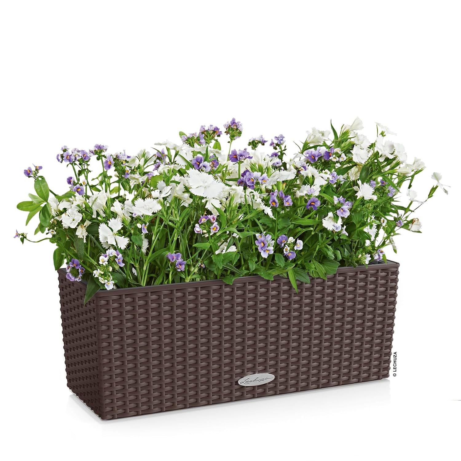 Kotak Tanaman Jendela dengan S - Self Watering Planter ulasan dan harga