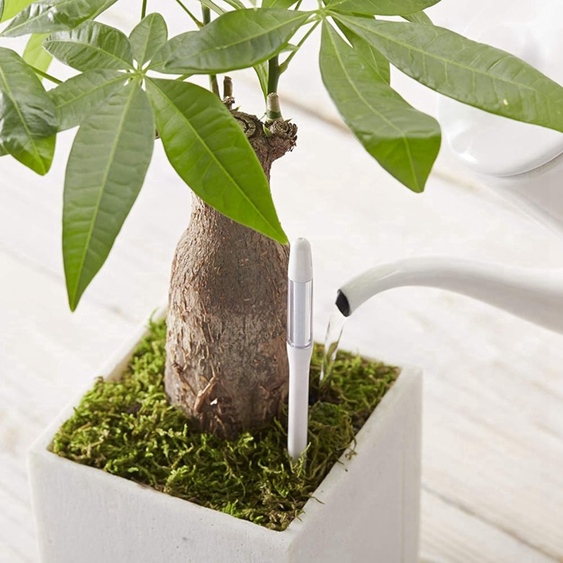 Aquameter, 5 Buah, Sensor Kele - Plant Sensor ulasan dan harga