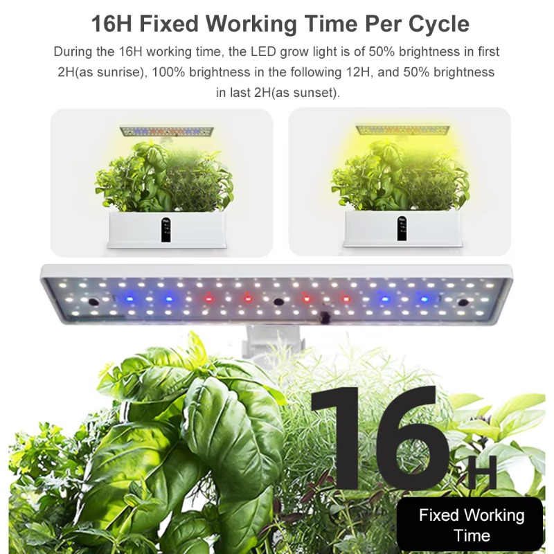 Sistem Penanaman Hidroponik Pi - Indoor Garden Kit ulasan dan harga