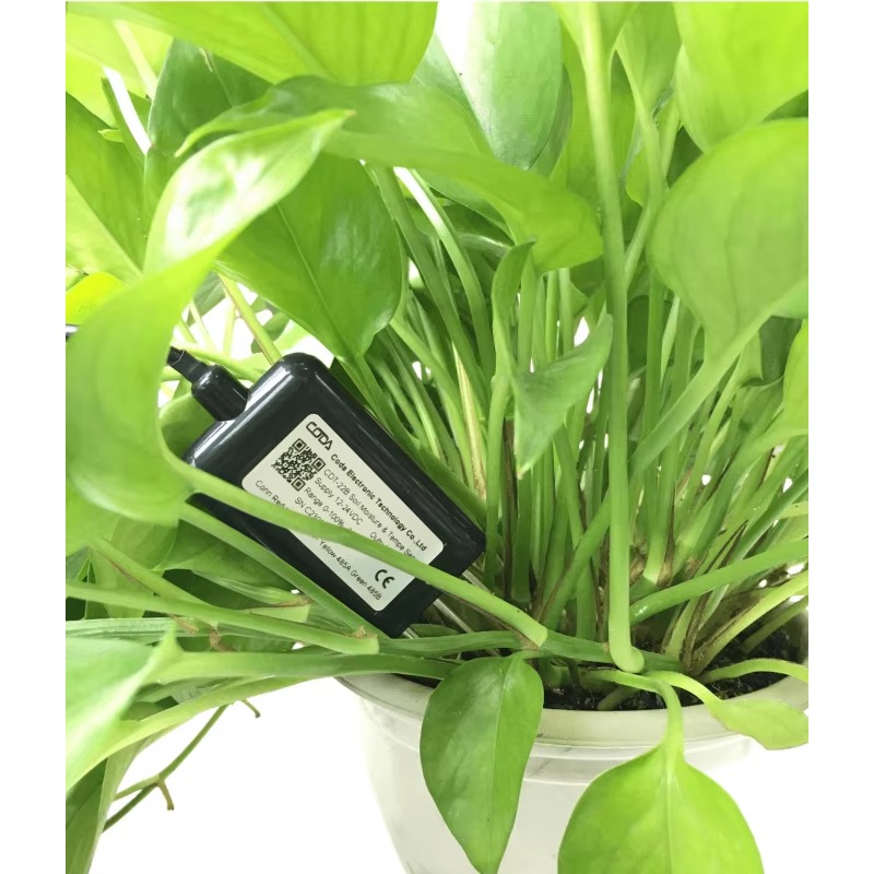 Sensor Probe Pengukur Kelembap - Plant Sensor ulasan dan harga