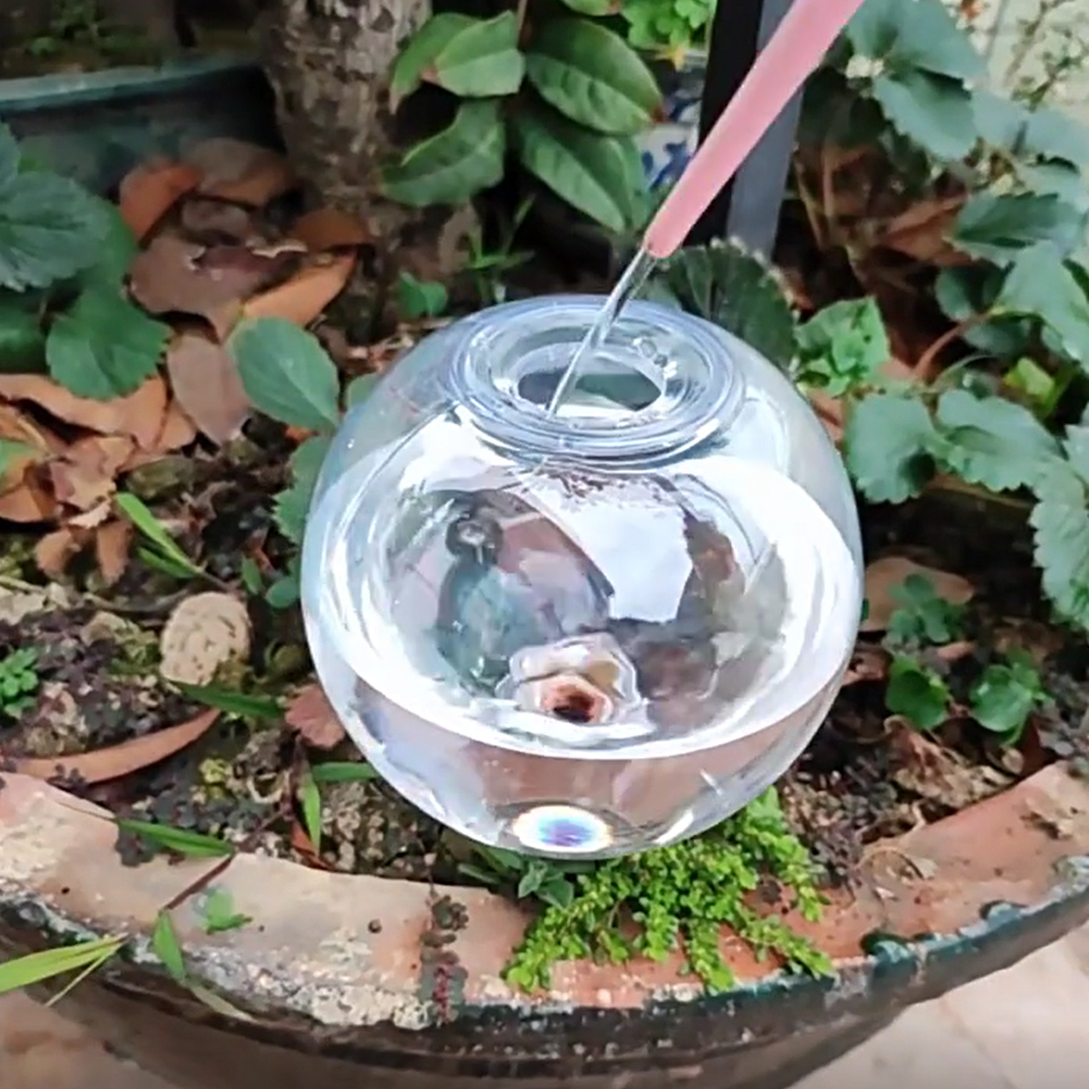 Sistem Irigasi Tetes Bola Peny - Self Watering Planter ulasan dan harga