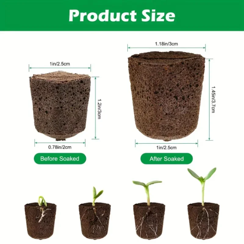 Kit Spons Pemula Bibit untuk S - Indoor Garden Kit ulasan dan harga
