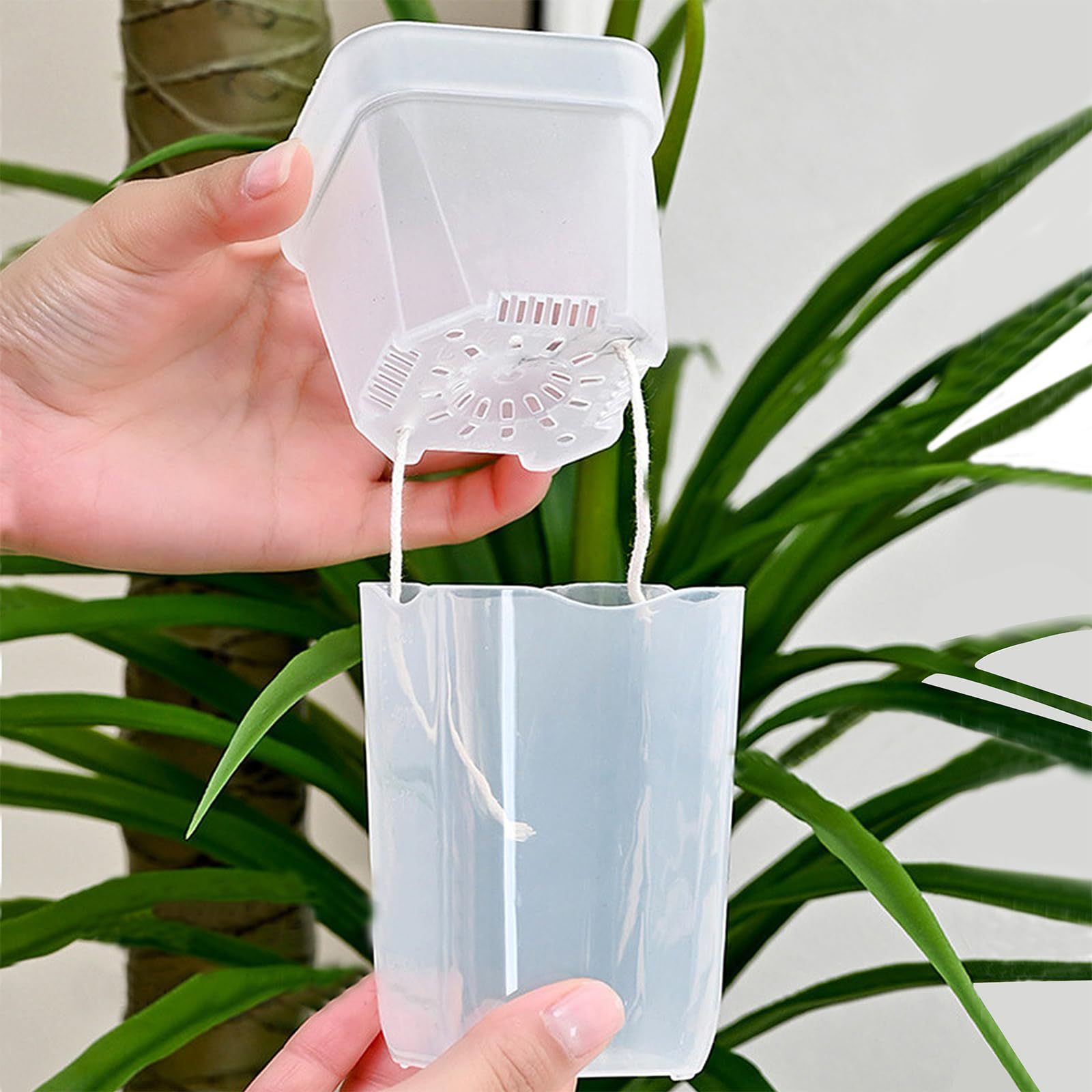 16/32 Paket Pot Tanaman Penyir - Plant Monitor ulasan dan harga
