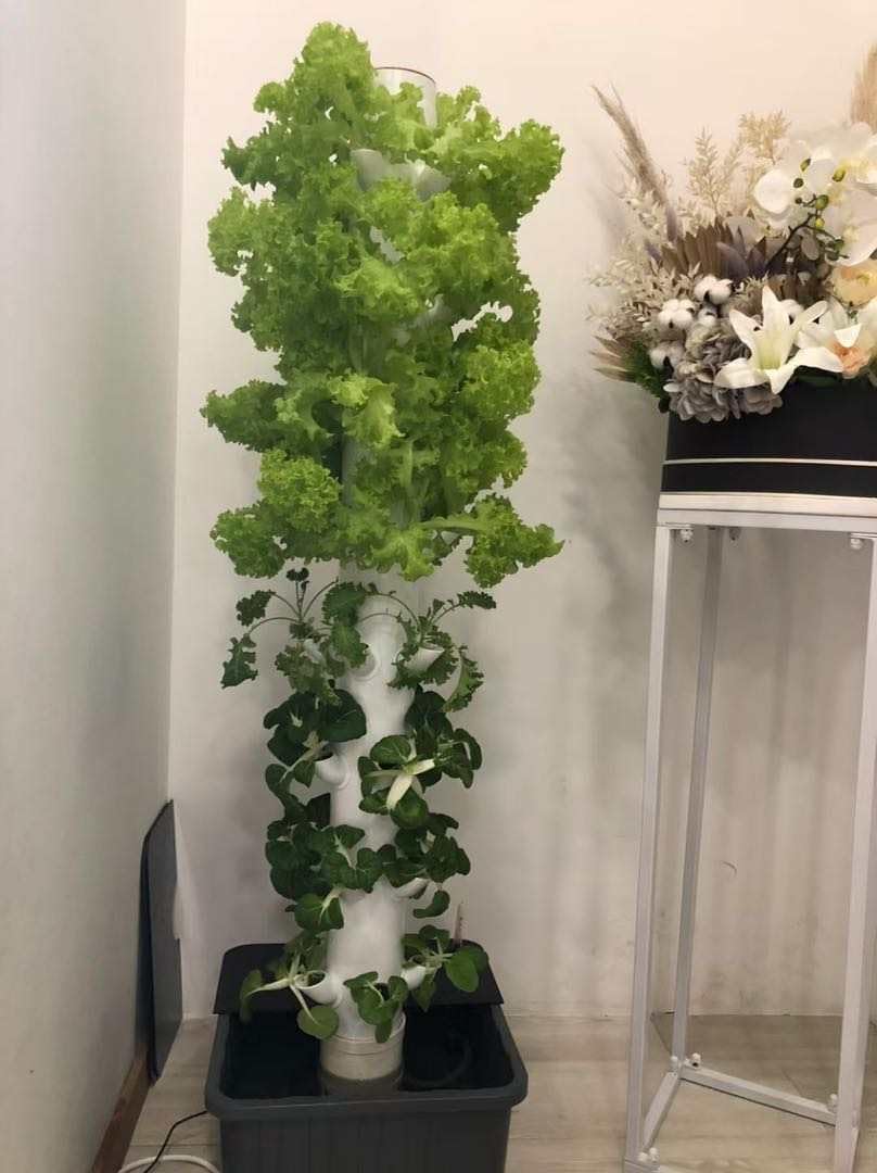 Menara Hidroponik Vertikal Aer - Hydroponic Tower ulasan dan harga