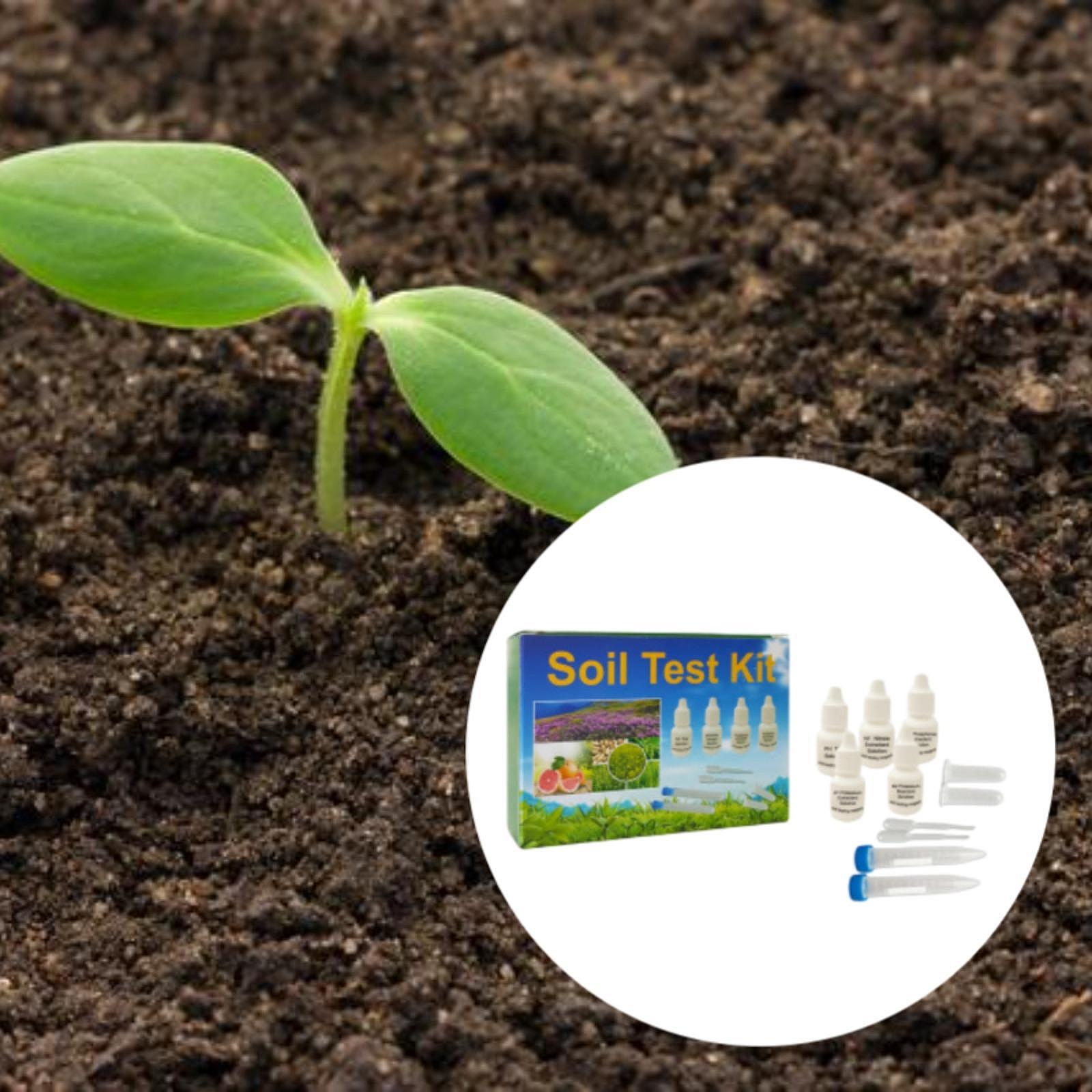 Kit Pengujian Tanah, Mudah Dig - Indoor Garden Kit ulasan dan harga