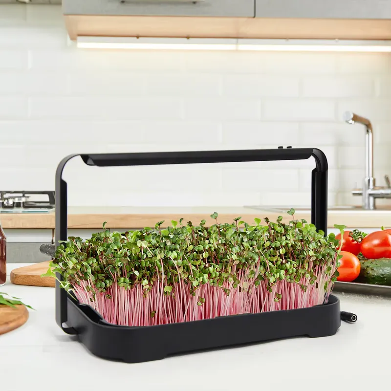 Baki Hidroponik untuk Tanaman  - Indoor Garden Kit ulasan dan harga