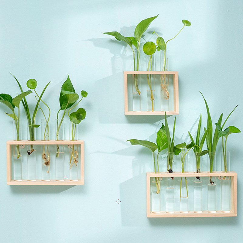 Wadah tanaman hidroponik denga - Hydroponic Grow Pod ulasan dan harga